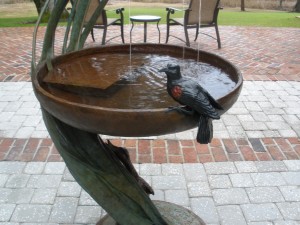 Bird Bath Fountain