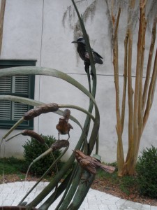 Bird Bath Fountain