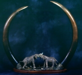 Fighting Bulls With Bronze Tusks