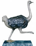 Strutting Ostrich