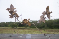 Mourning Flight