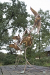 Mourning Flight